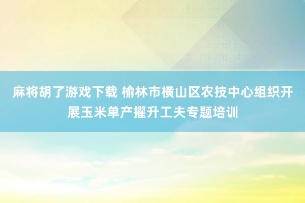 麻将胡了游戏下载 榆林市横山区农技中心组织开展玉米单产擢升工夫专题培训
