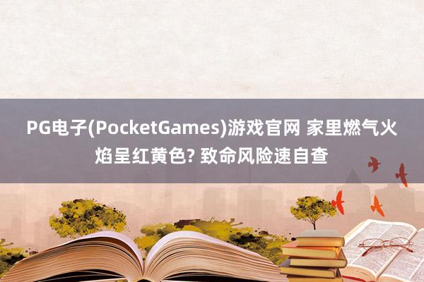 PG电子(PocketGames)游戏官网 家里燃气火焰呈红黄色? 致命风险速自查