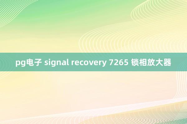 pg电子 signal recovery 7265 锁相放大器