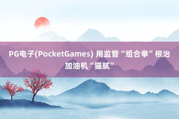 PG电子(PocketGames) 用监管“组合拳”根治加油机“猫腻”