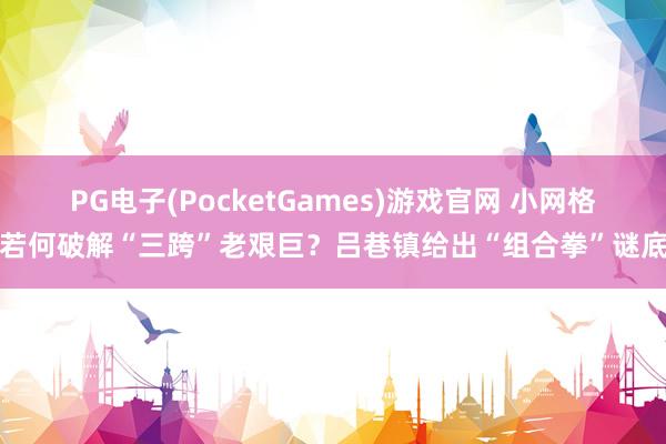 PG电子(PocketGames)游戏官网 小网格若何破解“三跨”老艰巨？吕巷镇给出“组合拳”谜底