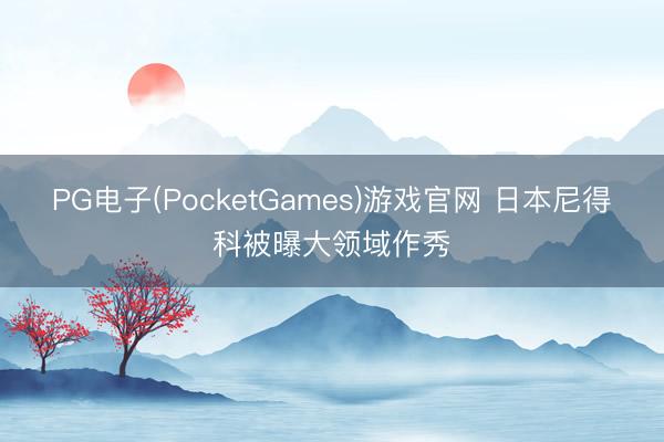 PG电子(PocketGames)游戏官网 日本尼得科被曝大领域作秀