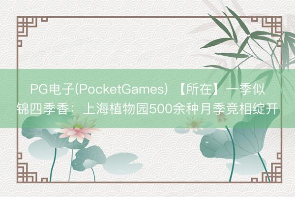 PG电子(PocketGames) 【所在】一季似锦四季香:上海植物园500余种月季竞相绽开