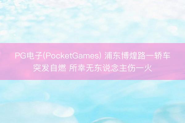 PG电子(PocketGames) 浦东博煌路一轿车突发自燃 所幸无东说念主伤一火