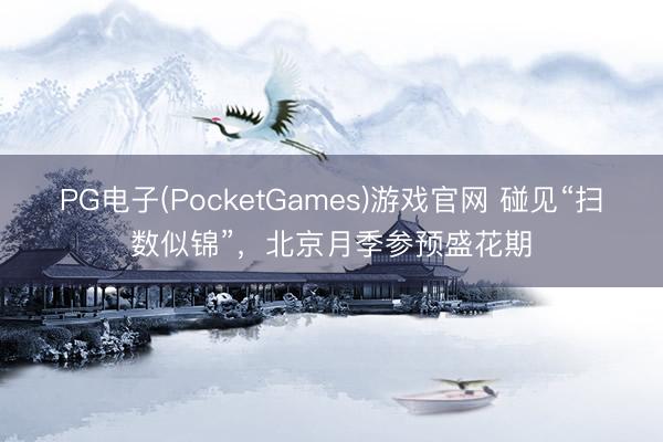 PG电子(PocketGames)游戏官网 碰见“扫数似锦”，<a href=