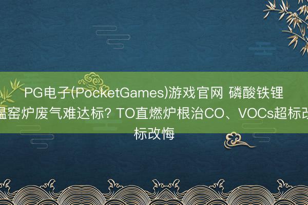 PG电子(PocketGames)游戏官网 磷酸铁锂高温窑炉废气难达标? TO直燃炉根治CO、VOCs超标改悔
