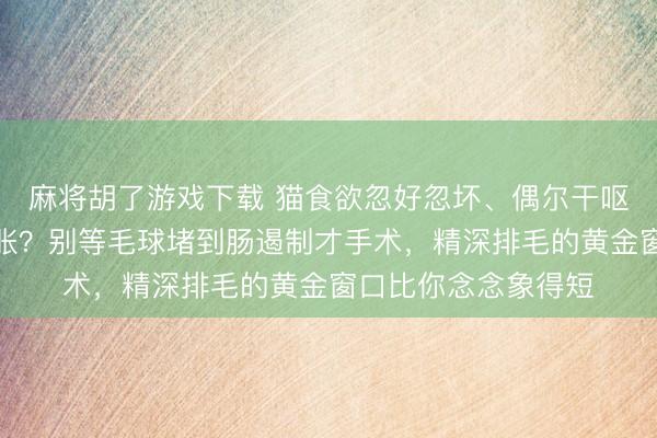 麻将胡了游戏下载 猫食欲忽好忽坏、偶尔干呕、肚子摸起来有点胀？别等毛球堵到肠遏制才手术，精深排毛的黄金窗口比你念念象得短