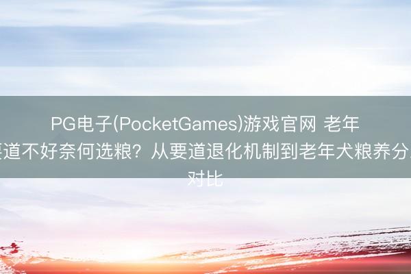 PG电子(PocketGames)游戏官网 老年犬要道不好奈何选粮？从要道退化机制到老年犬粮养分对比