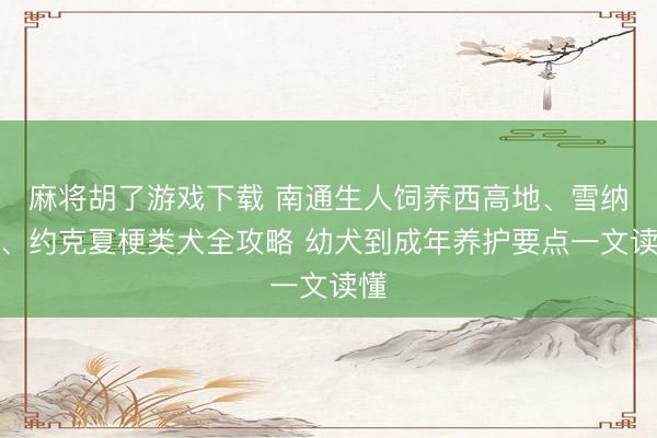 麻将胡了游戏下载 南通生人饲养西高地、雪纳瑞、约克夏梗类犬全攻略 幼犬到成年养护要点一文读懂