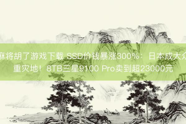 麻将胡了游戏下载 SSD价钱暴涨300%:日本成大众重灾地!8TB三星9100 Pro卖到超23000元