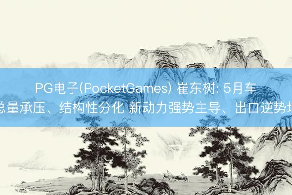 PG电子(PocketGames) 崔东树: 5月车市总量承压、结构性分化 新动力强势主导、出口逆势增长